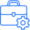 Custom software